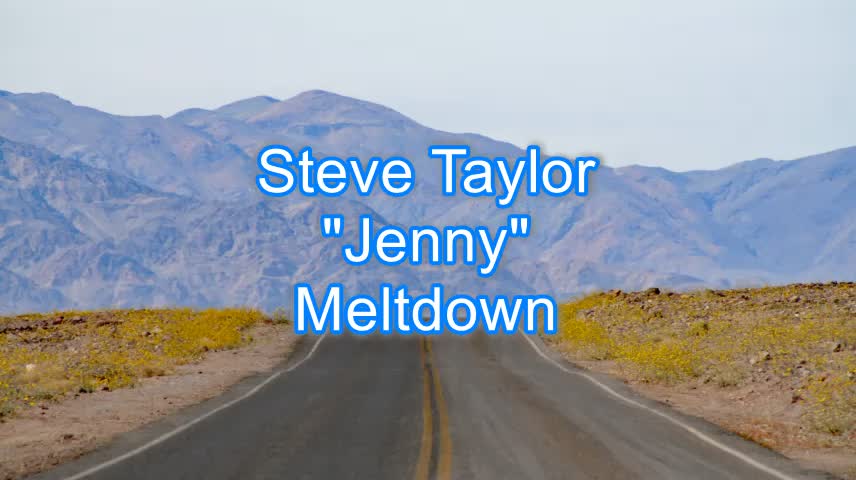 Steve Taylor - Jenny #351