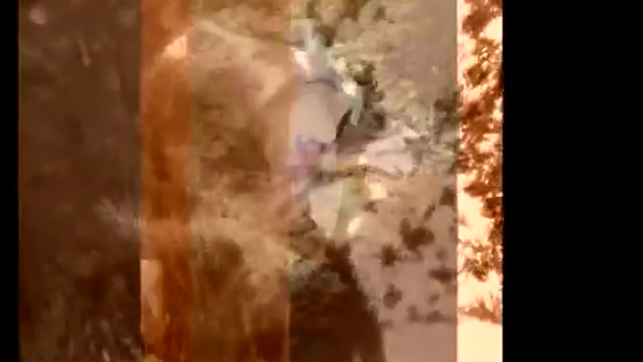 A Deep Ecology_ Martawiley.com.mp4