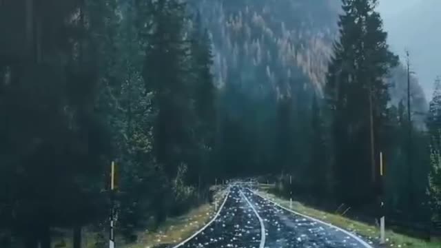 Snow falling on the road