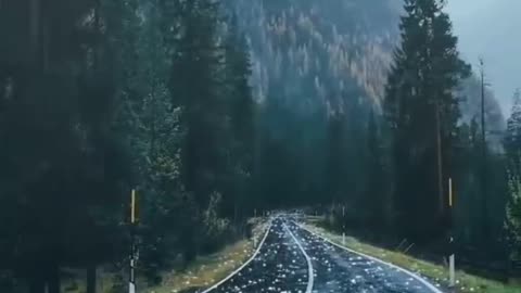 Snow falling on the road