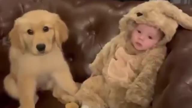 The dog and the baby growing up together