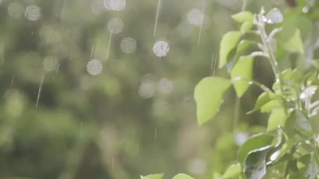 下雨声 冥想 放松音乐