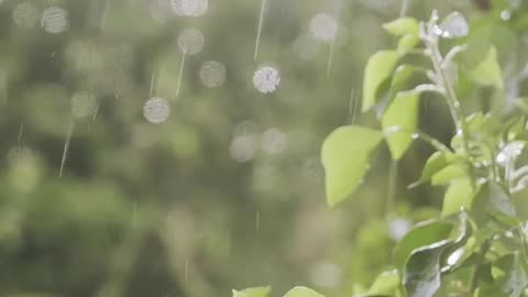 下雨声 冥想 放松音乐