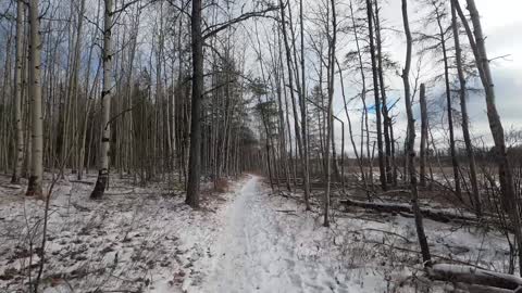 International Fatbike Day 2020 (Timmins Ontario Canada)