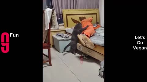 TRY NOT TO LAUGH
