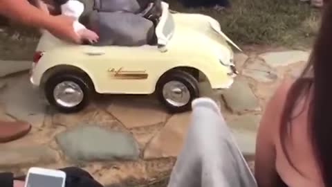comedy At wedding