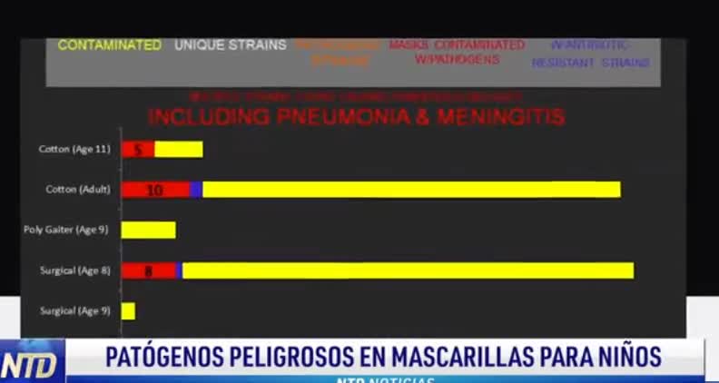 Hallan bacterias, parásitos y hongos en tapabocas