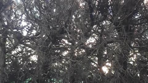 20220506-145714
