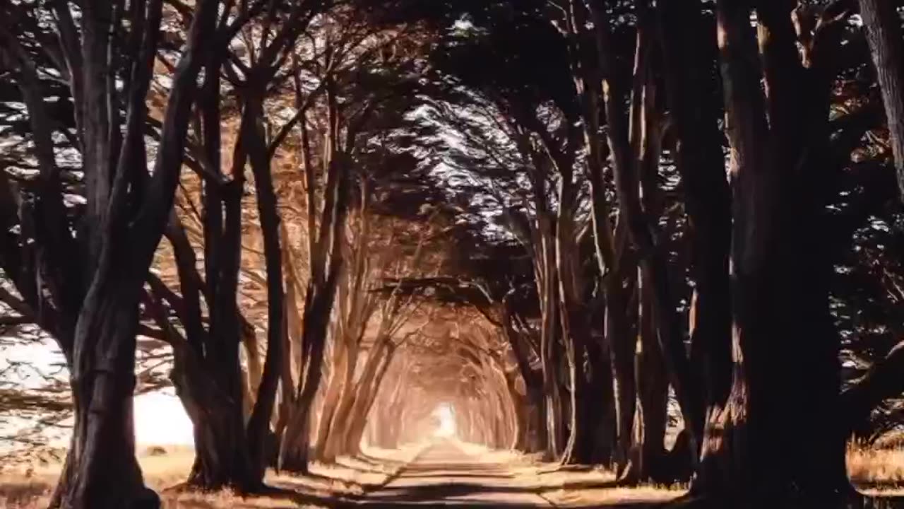 Love the Nature 😻
