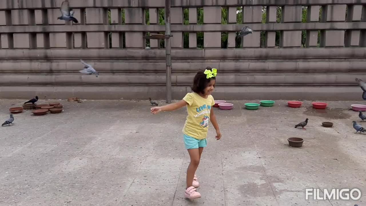 Ananya Saxena Blog -II