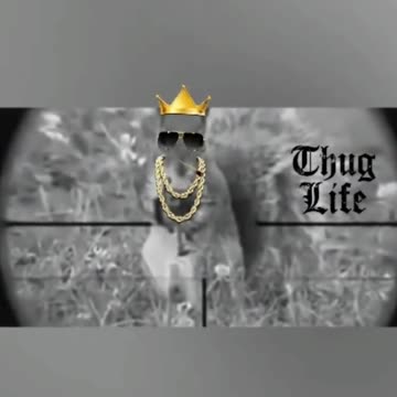animal thug life