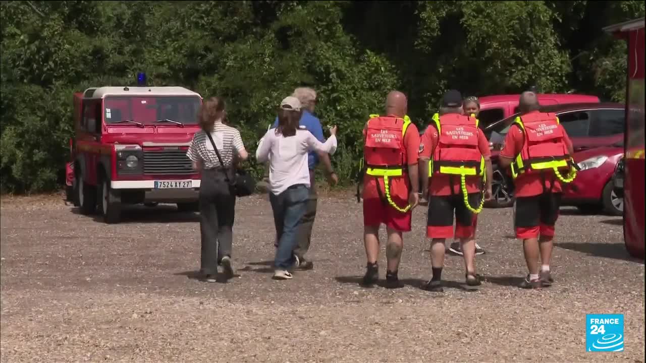 French authorities track Beluga whale after it strays into the Seine River