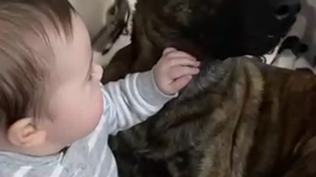 The love between the baby and his dog