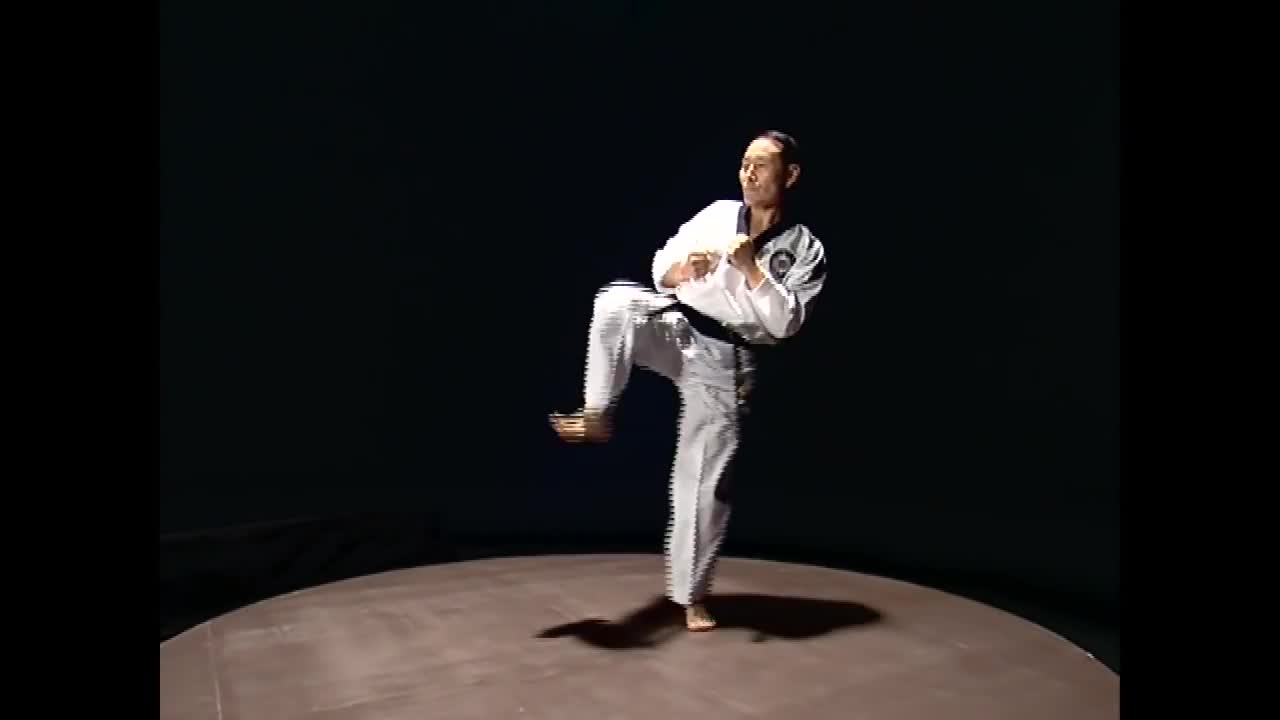 Basic taekwando kicks