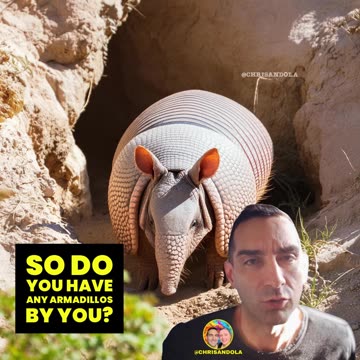 WHO LIKES ARMOR? Chris talks armadillo