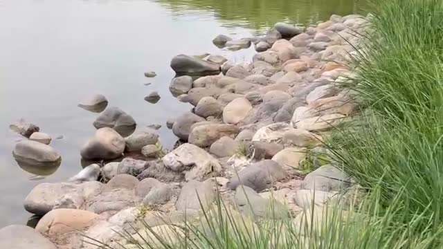 These rocks are huge by the water