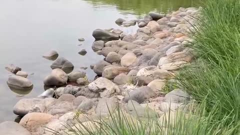 These rocks are huge by the water