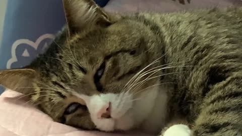 Show everyone a sleep with eyes open