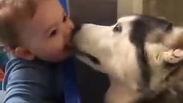 Cute baby and his dog #viralvideo