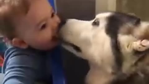 Cute baby and his dog #viralvideo