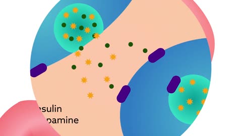 How Tyrosine Might Help Regulate Glucose Levels