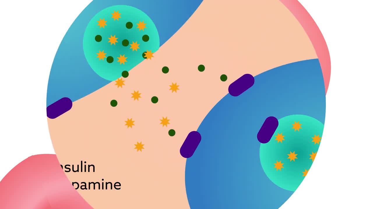 How Tyrosine Might Help Regulate Glucose Levels
