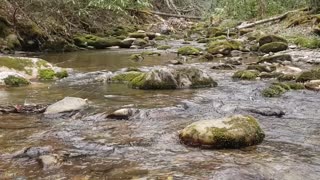 Water sounds in natural surroundings