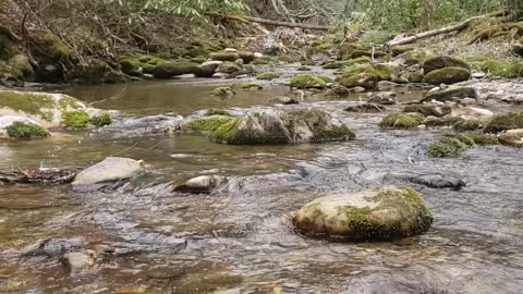 Water sounds in natural surroundings