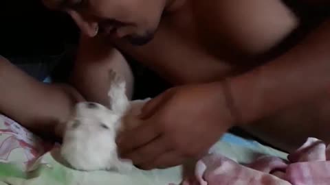 Tierno peludito enojon