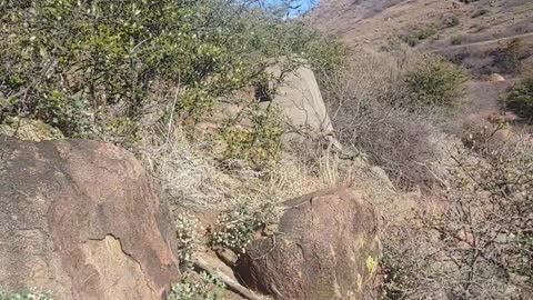 Quartz Mountain