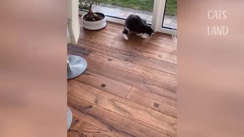cute и babies