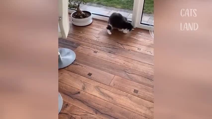 cute и babies