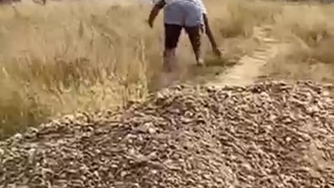 Prank