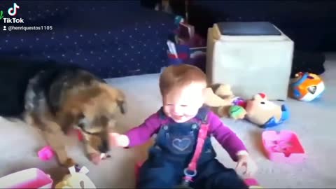 baby laughing with dog