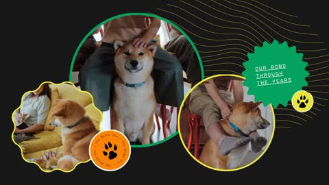 a good friendship with the dogs