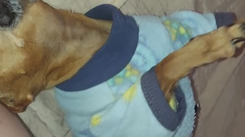 Mel brincando e feliz