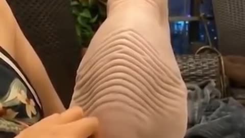 Scratching the back of a sphinx cat