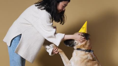 DOG TRAINING FUNDAMENTALS