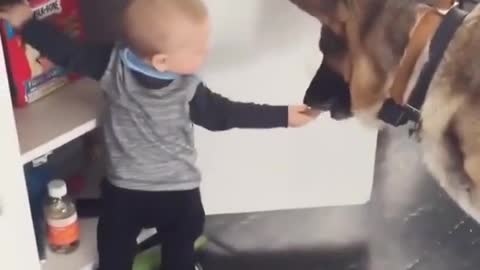 Little master, what are you doing