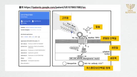 [펌] [Creation] [▲5G] 록펠러 특허. 고주파 파동을 통한 세포 조종 기술