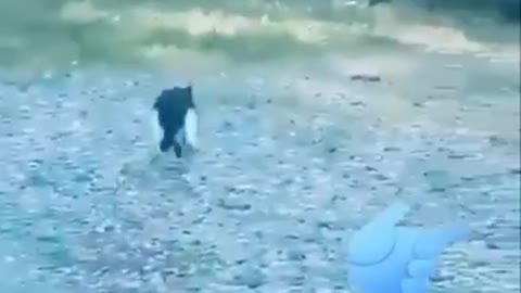 Wow 😁😁