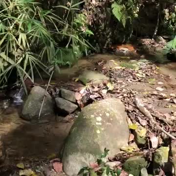 Denuncian contaminación de afluente en los Cerros Orientales