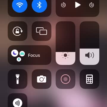 Jordan Peterson compelled speech