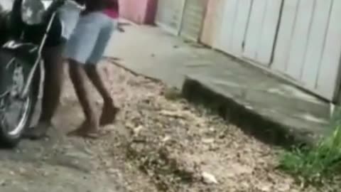 Brazilian intelligence