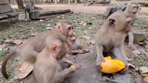 Watch Princess Monkey Rainbow Indulge In An Amazing Dinner While Kids Waiting Her Sharing!🐒🌿🍃 #7