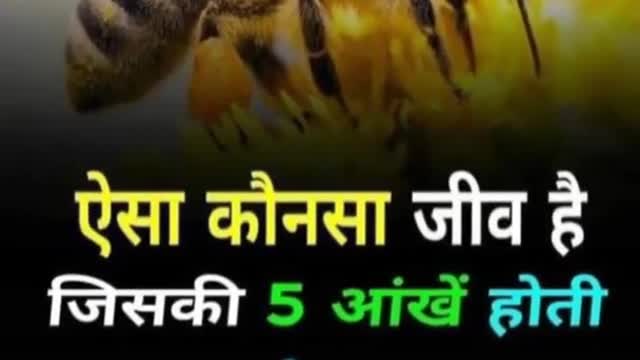 #upsc#scc#scccgl#mpsc #sscchsl #motivation#bank#ips#pcs#ias#ifs#bps #shorts #short#motivational