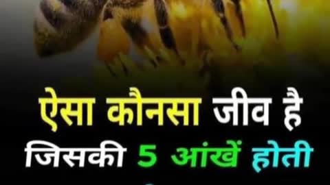 #upsc#scc#scccgl#mpsc #sscchsl #motivation#bank#ips#pcs#ias#ifs#bps #shorts #short#motivational