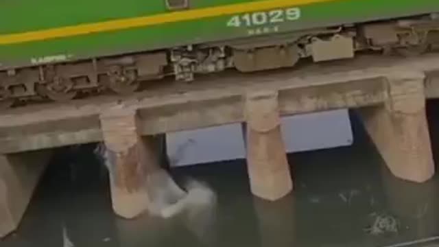 Speed train