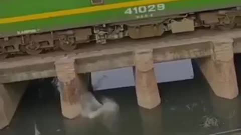 Speed train