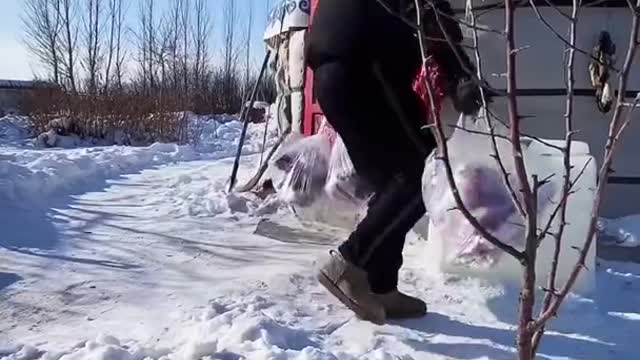 Best comedy funny video and little boy favourite funny